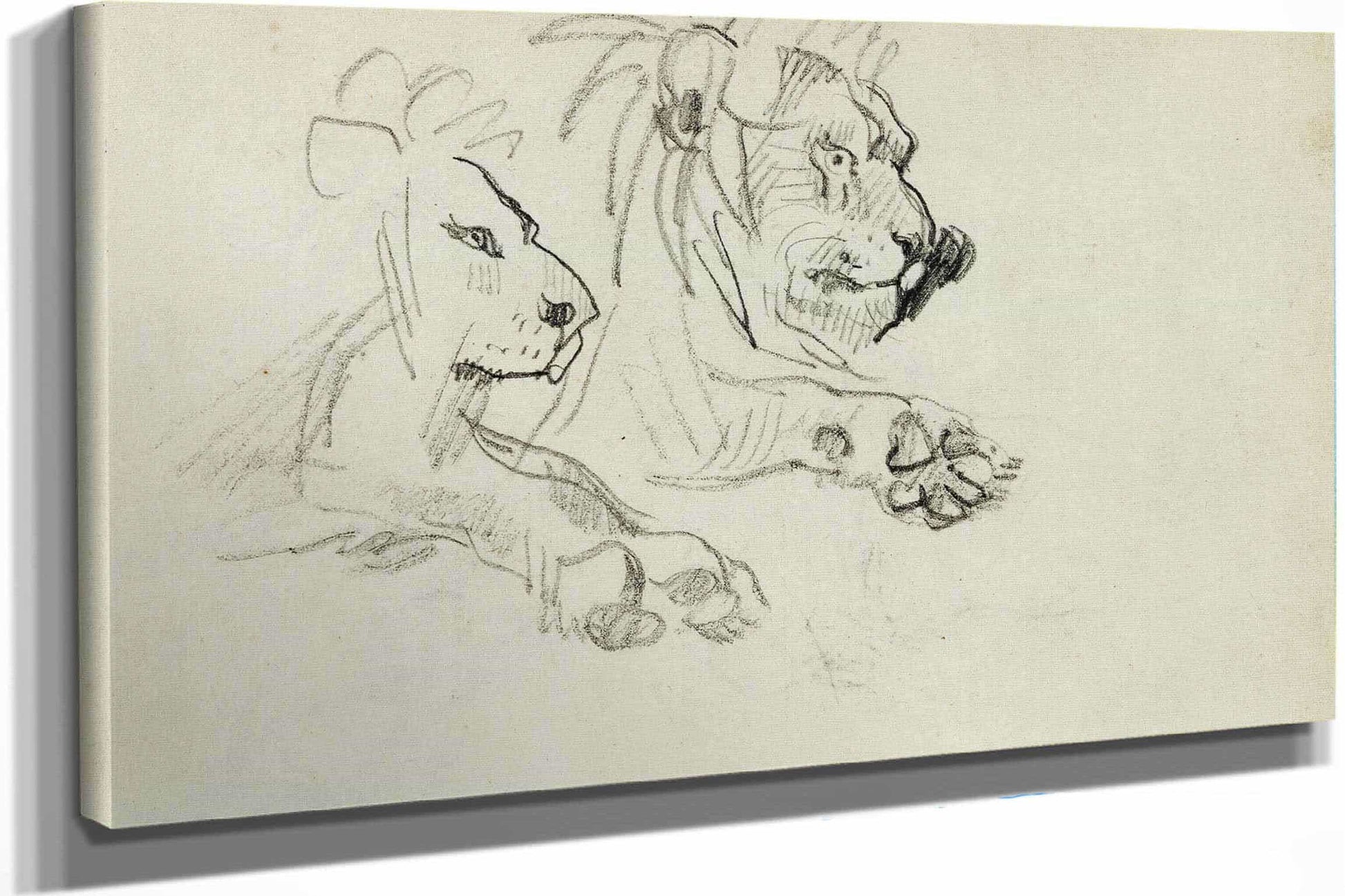 Two Lion Studies  by Theodore Gericault