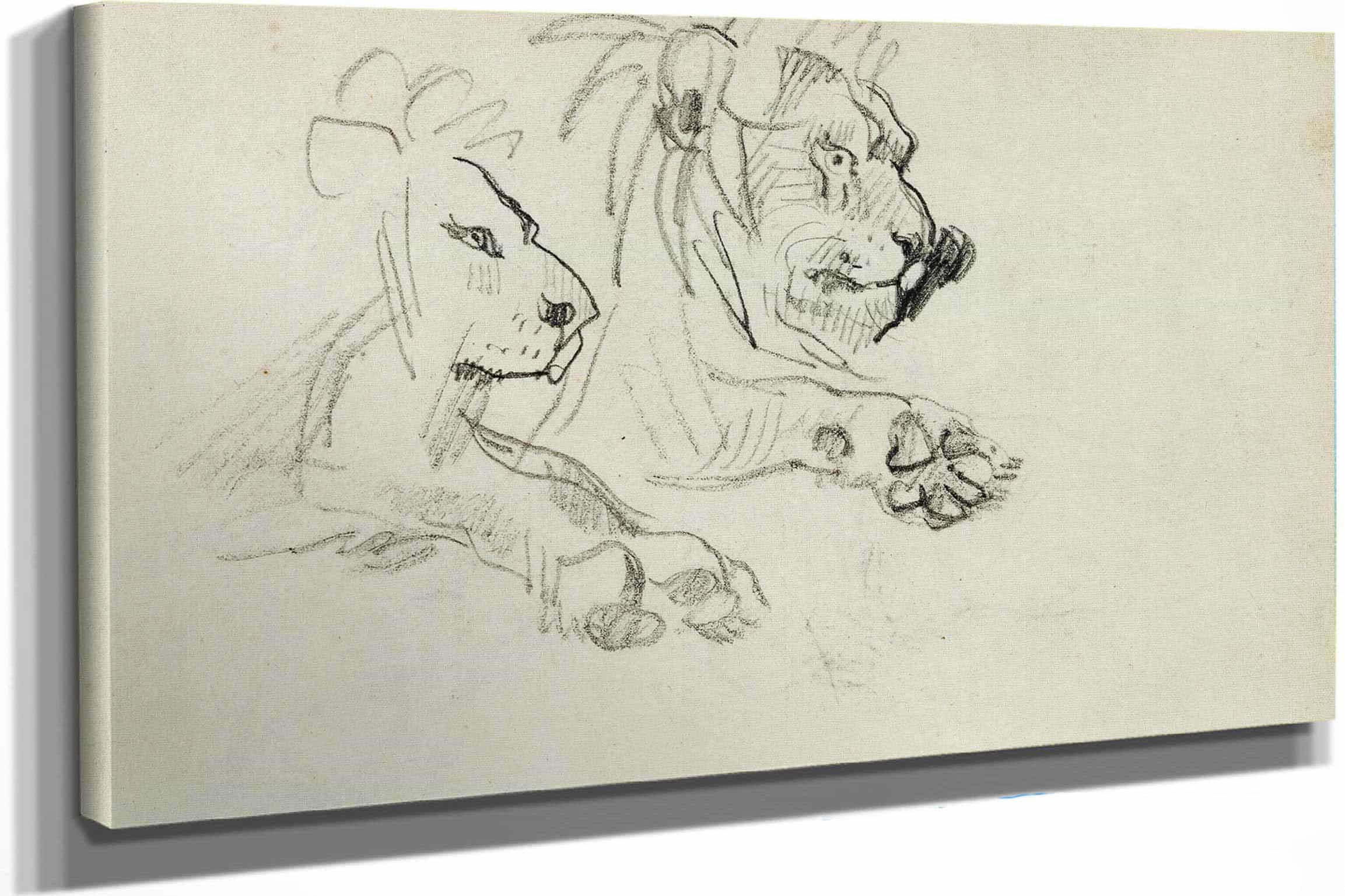 Two Lion Studies  by Theodore Gericault