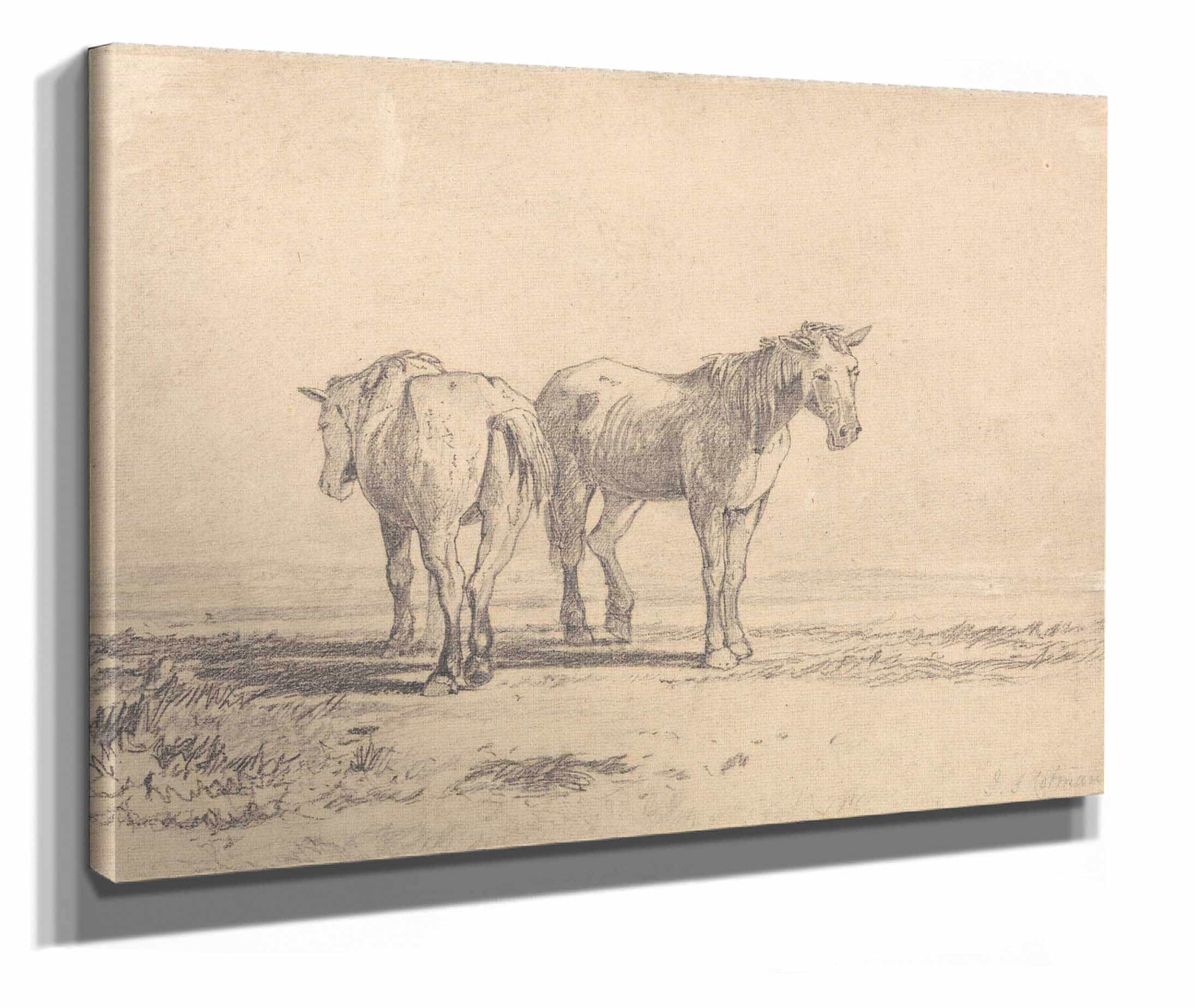 Two Old Horses Standing In A Field by John Sell Cotman