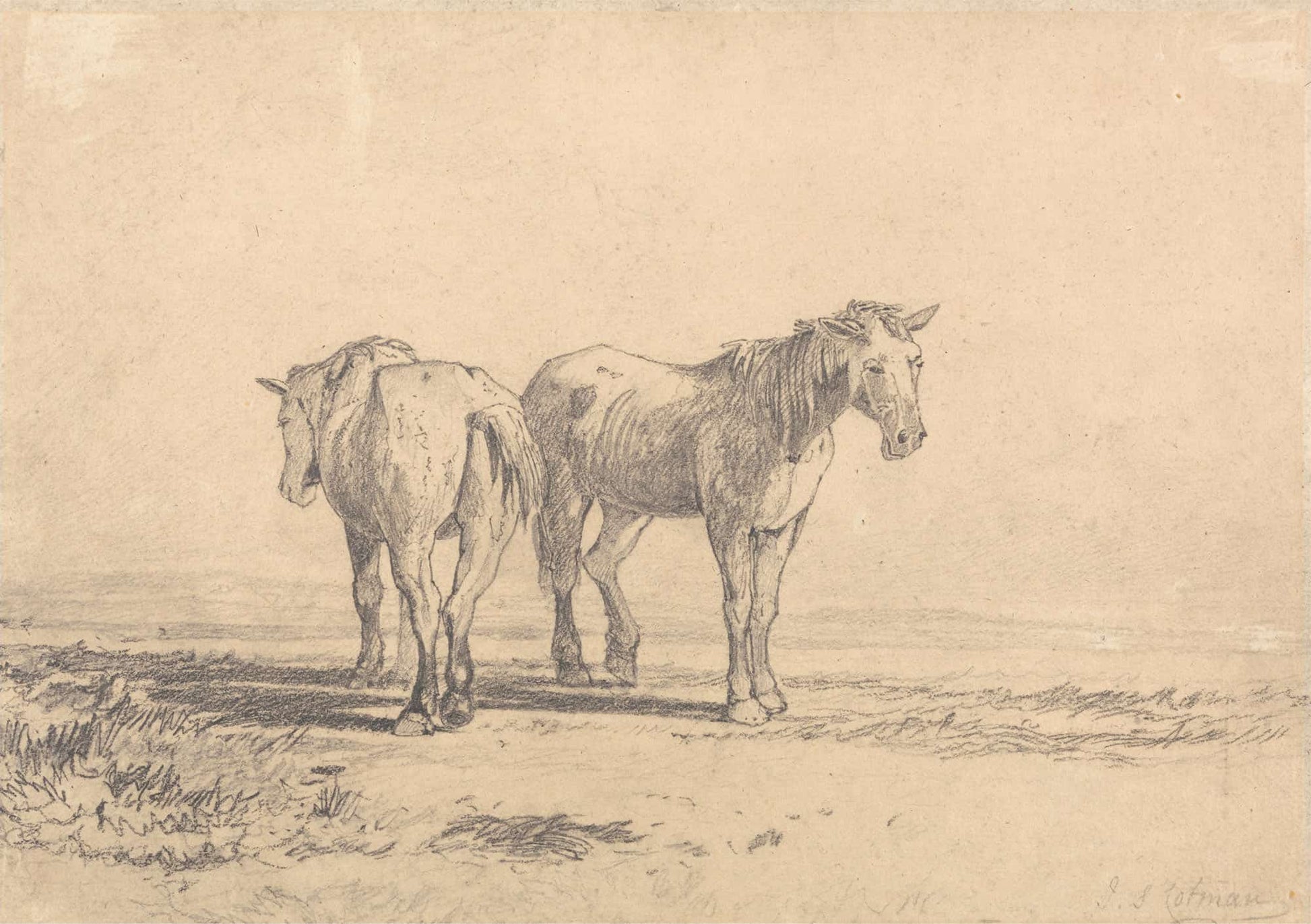 Two Old Horses Standing In A Field by John Sell Cotman