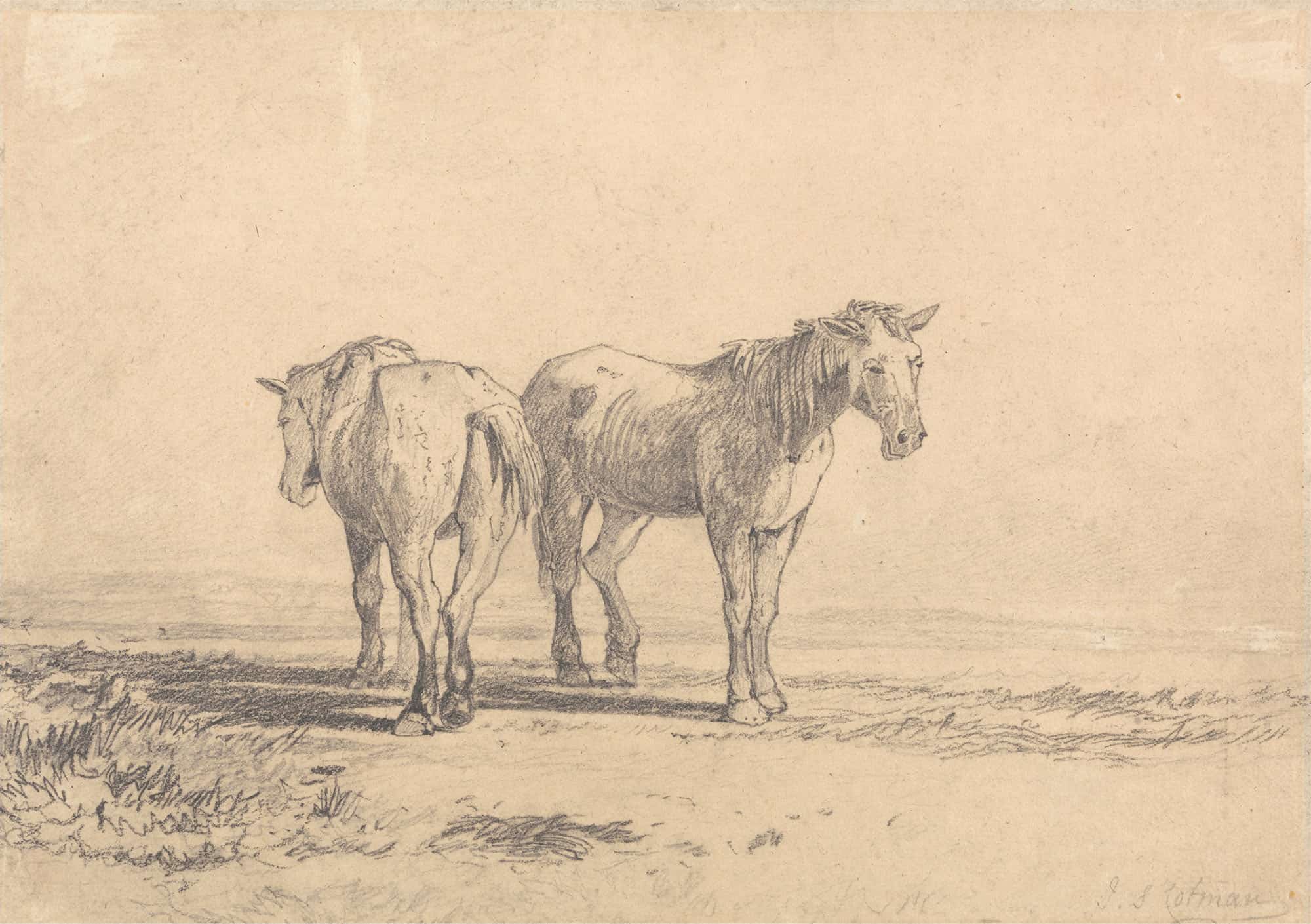 Two Old Horses Standing In A Field by John Sell Cotman