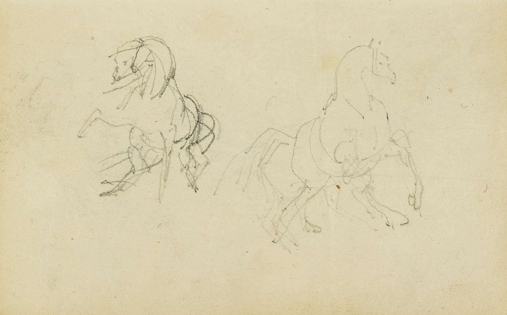 Two Studies Of A Rearing Horse  by Theodore Gericault