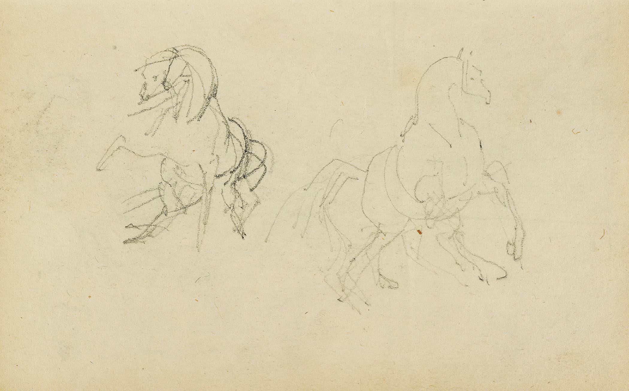 Two Studies Of A Rearing Horse  by Theodore Gericault