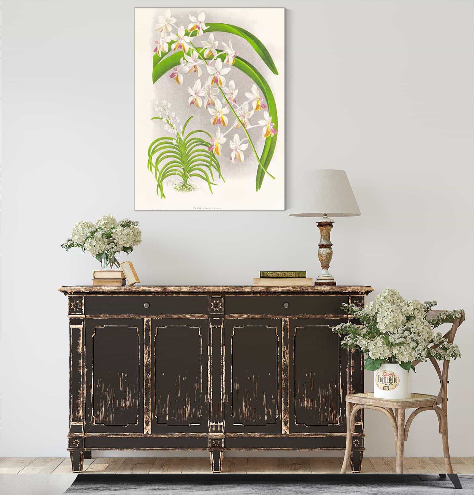 Vanda Boxalli by Jean Jules Linden