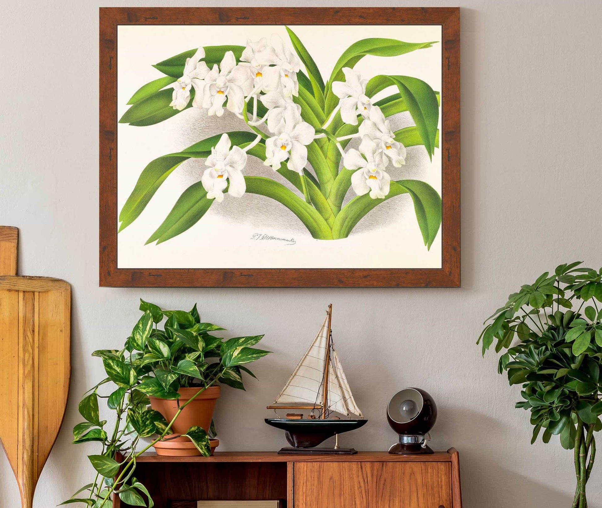 Vanda Denisoniana by Jean Jules Linden