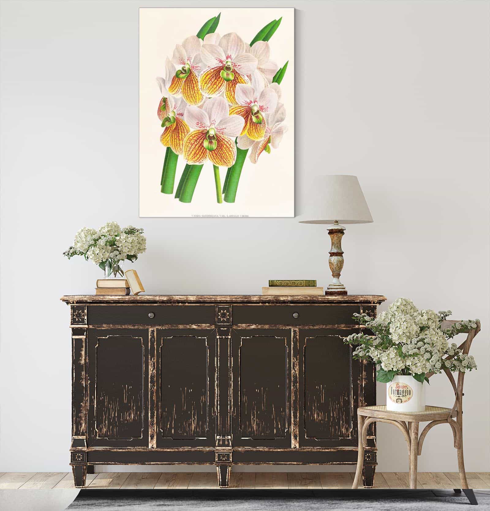 Vanda Sanderiana Var Labello Viridi by Jean Jules Linden