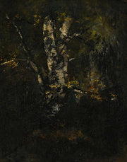 Vieux Troncs De Hetres by Narcisse Virgile Diaz De La Pena