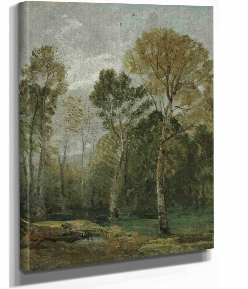 View Of A Copse by John Constable