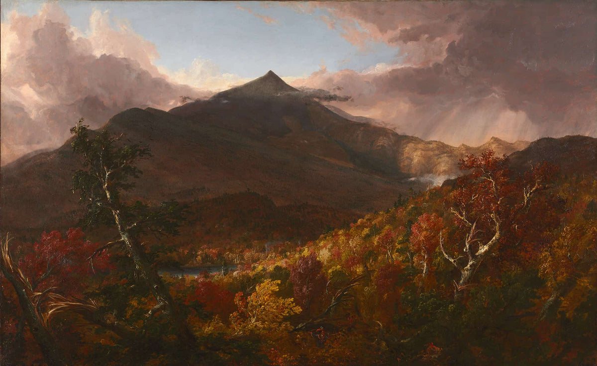 View Of Schroon Mountain Essex County New York After A Storm by Thomas Cole