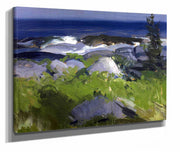 Vine Clad Shore Monhegan Island by George Wesley Bellows