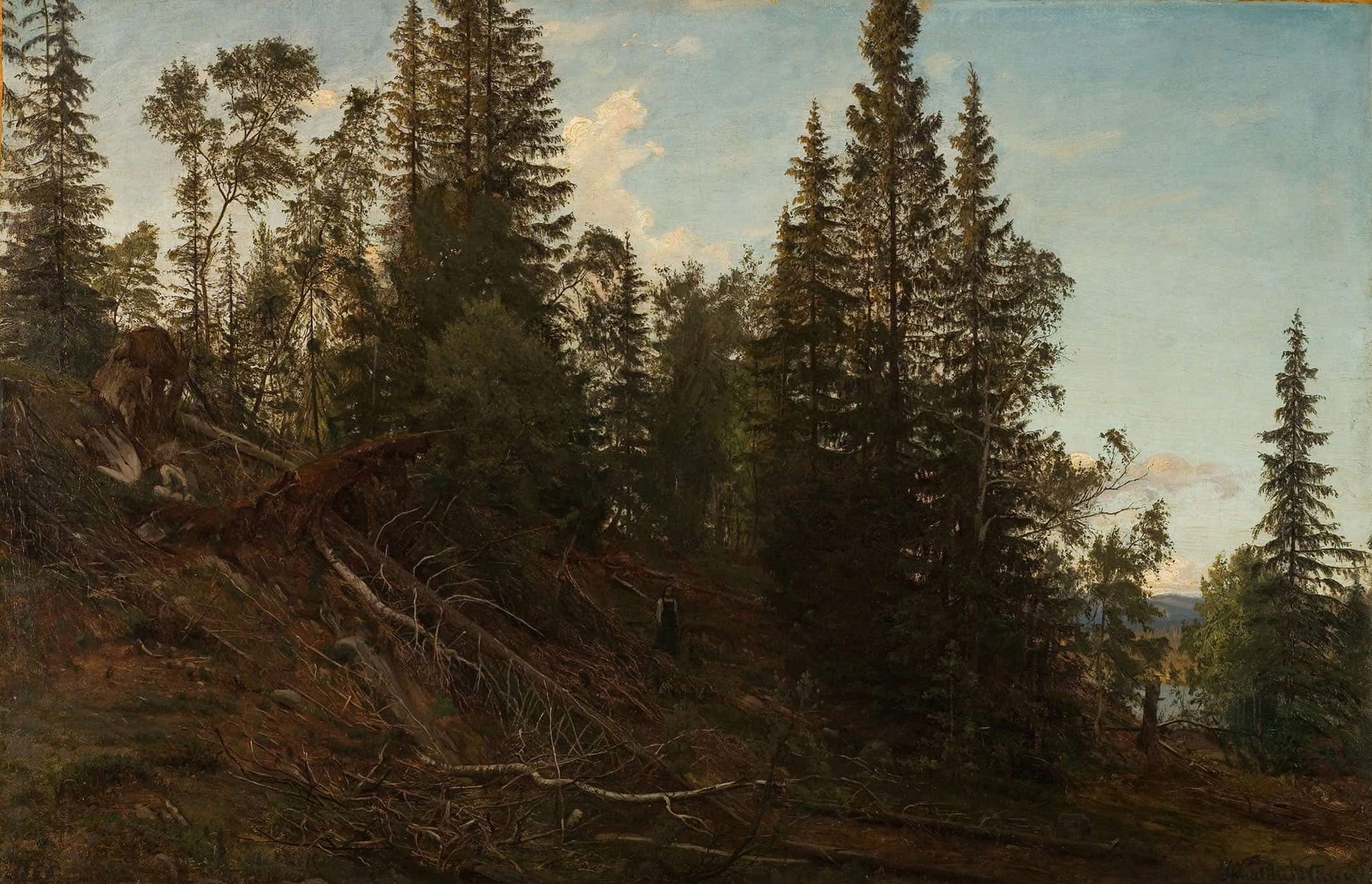 Vingerasheia Telemark by Amaldus Nielsen