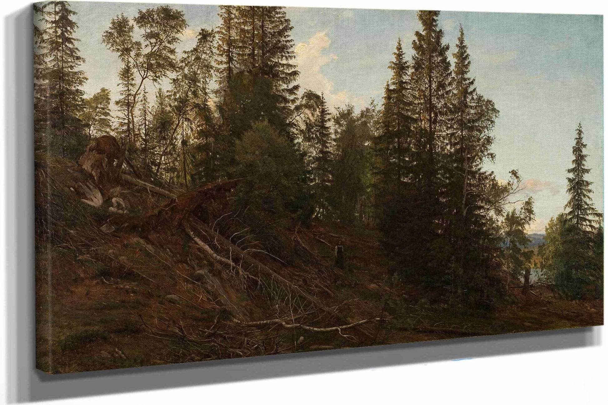 Vingerasheia Telemark by Amaldus Nielsen