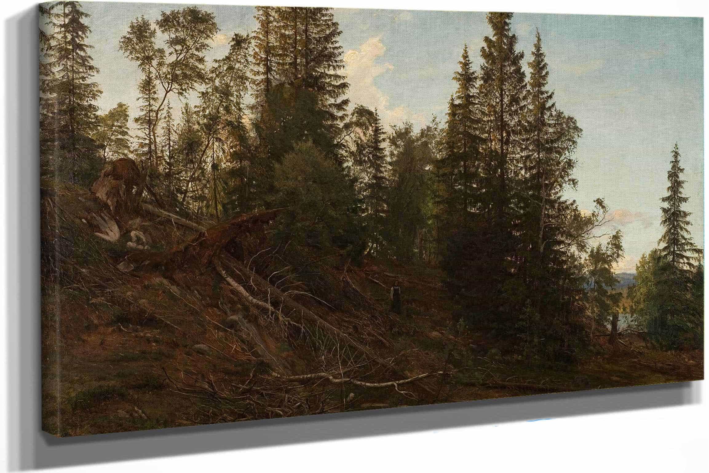 Vingerasheia Telemark by Amaldus Nielsen