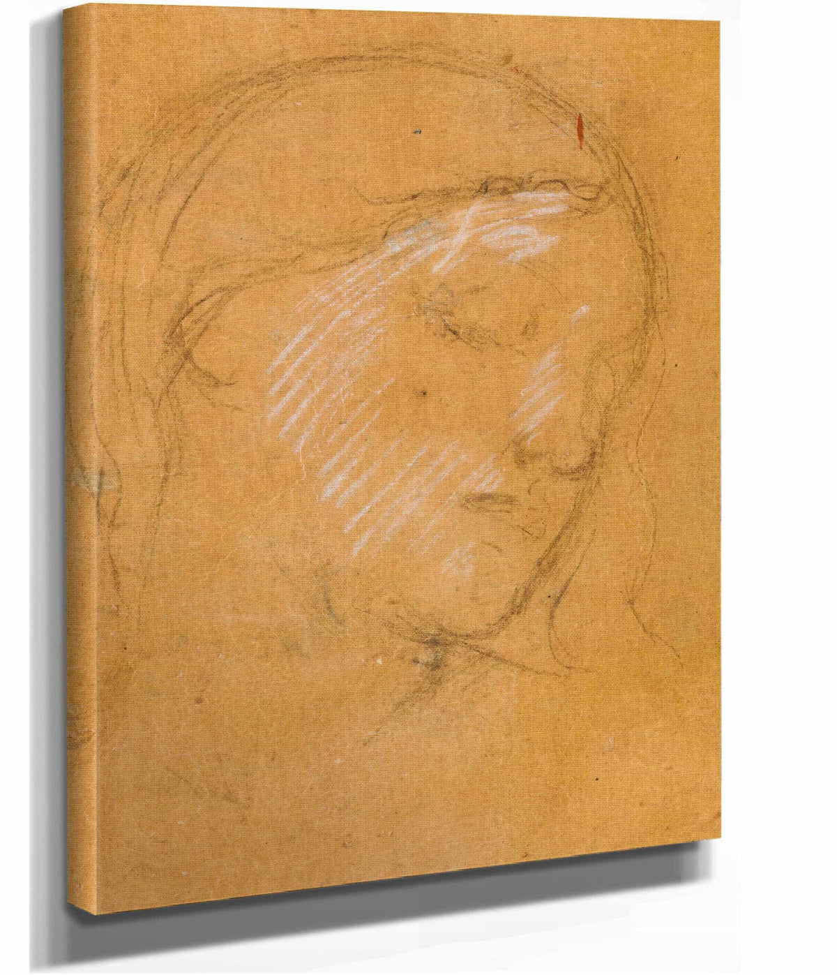 Visage De Femme by Pierre Puvis De Chavannes