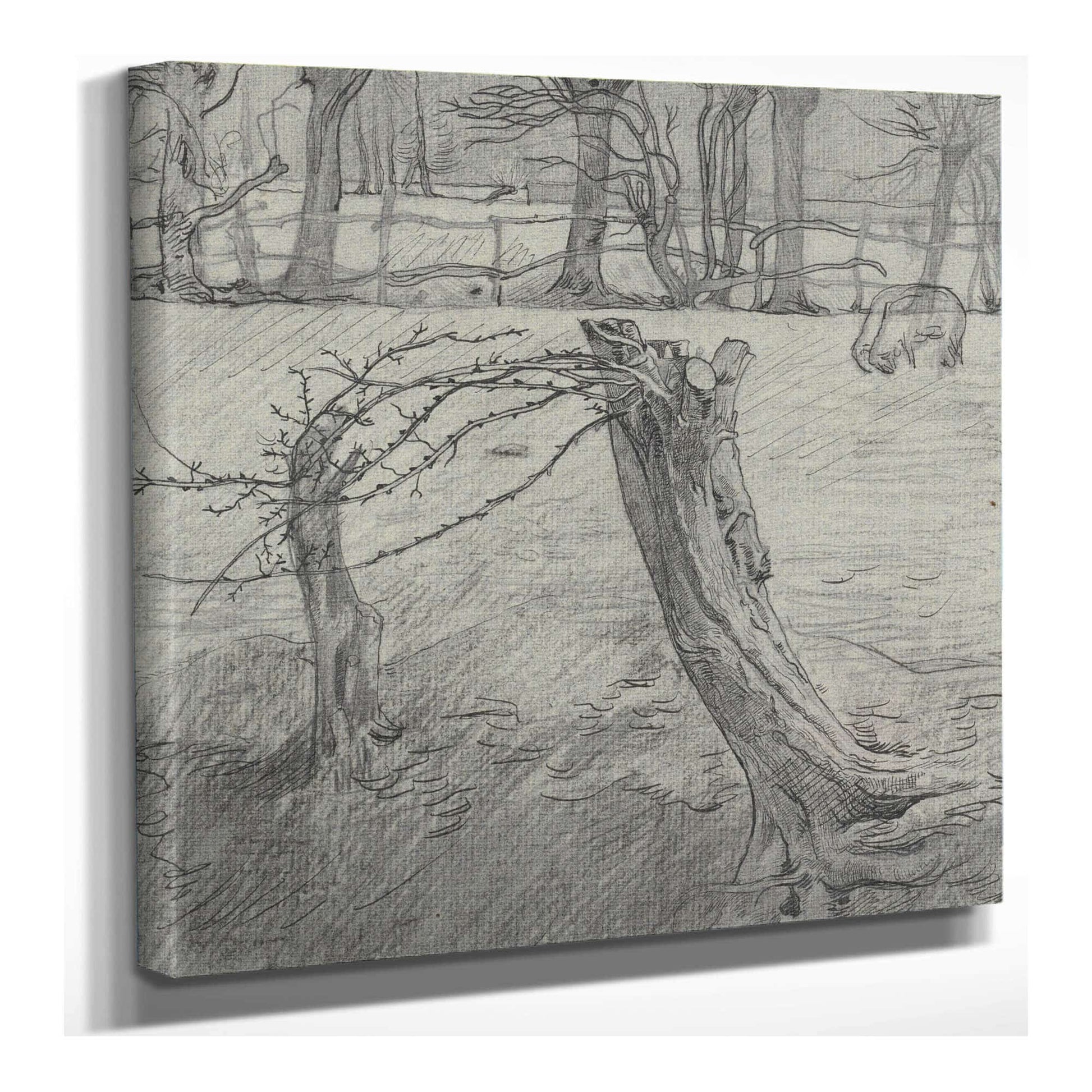 Weidelandschap Met Wilgen  by Richard Nicolaus Roland Holst