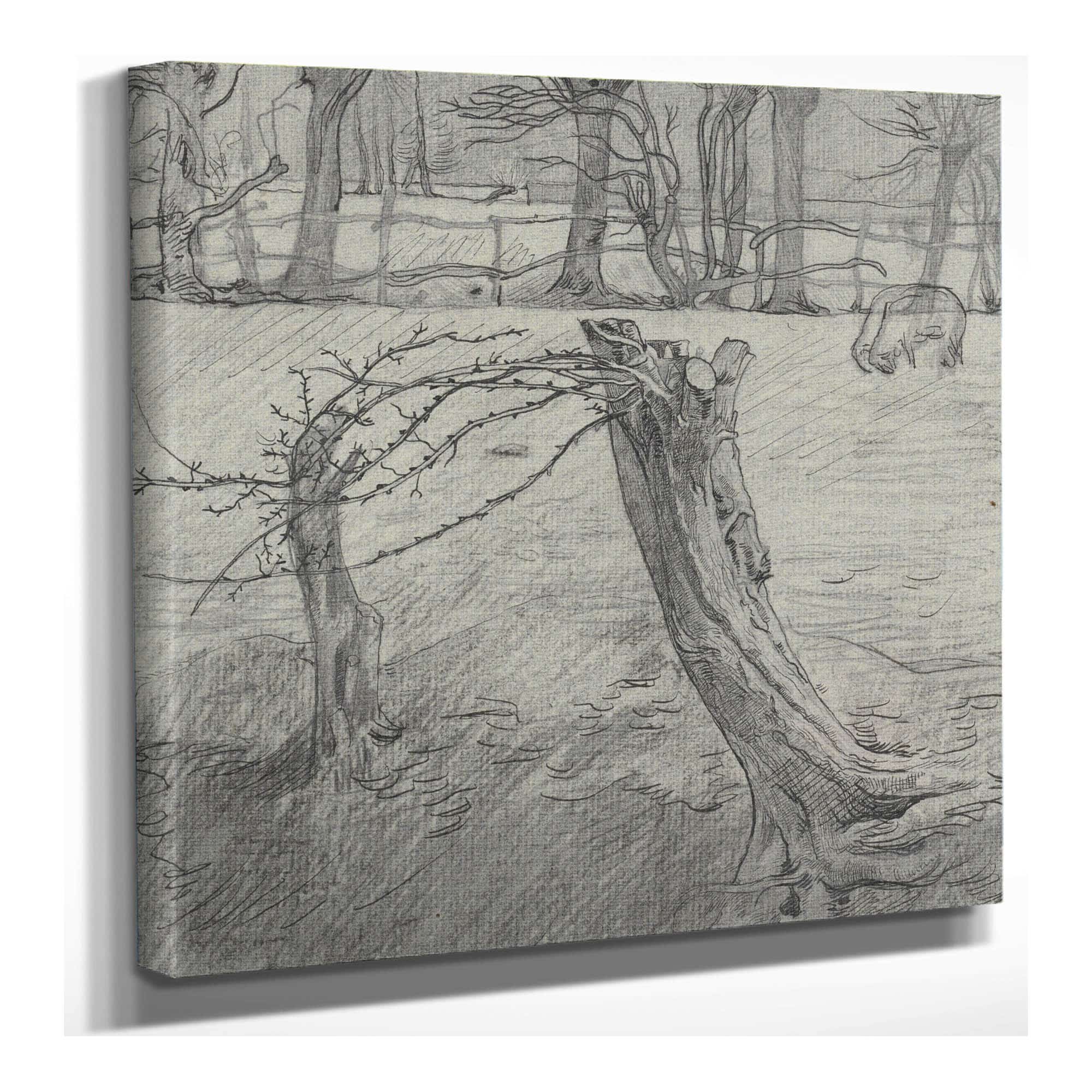Weidelandschap Met Wilgen  by Richard Nicolaus Roland Holst