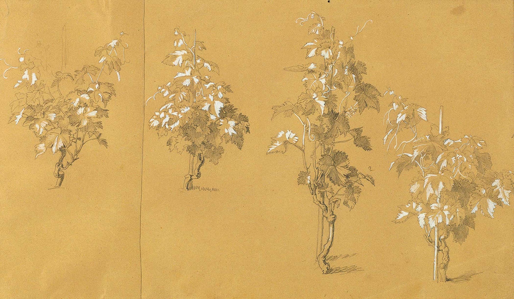 Weinstock Studie Zu Hermann Und Dorothea Im Weinberg Before by Johann Peter Krafft