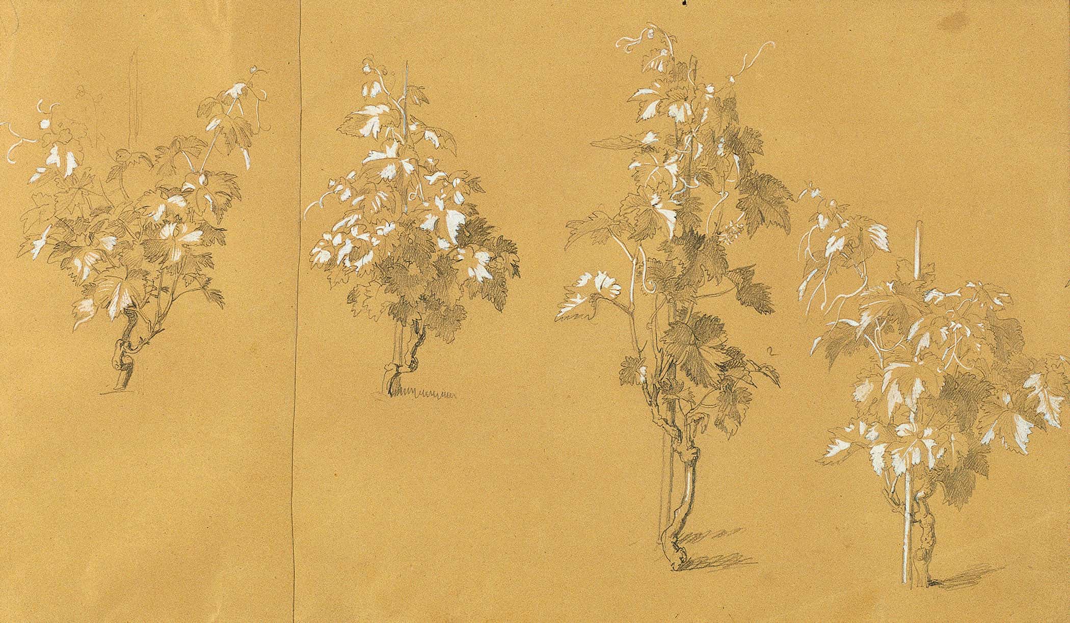 Weinstock Studie Zu Hermann Und Dorothea Im Weinberg Before by Johann Peter Krafft