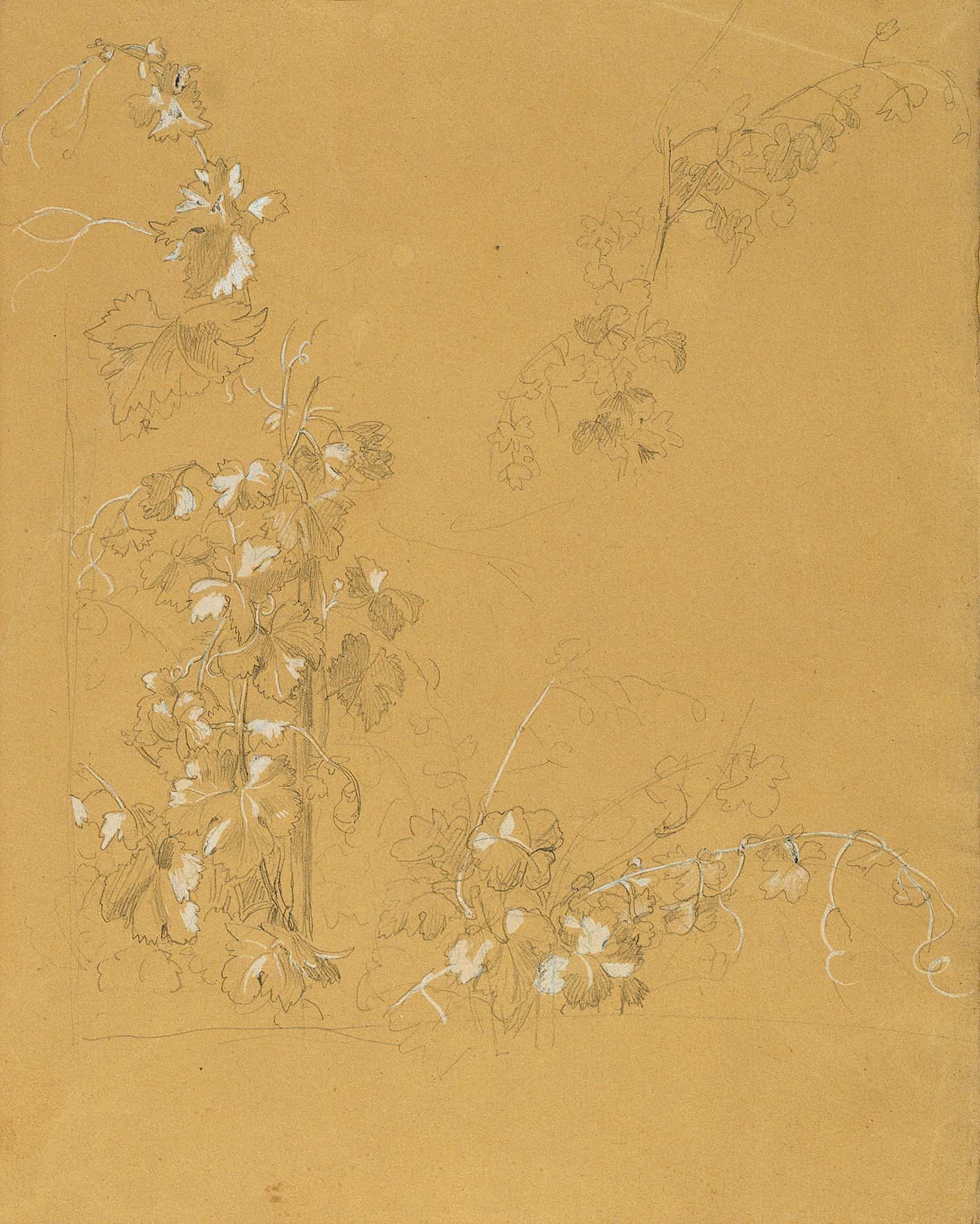Weinstock Studie Zu Hermann Und Dorothea Im Weinberg Before by Johann Peter Krafft