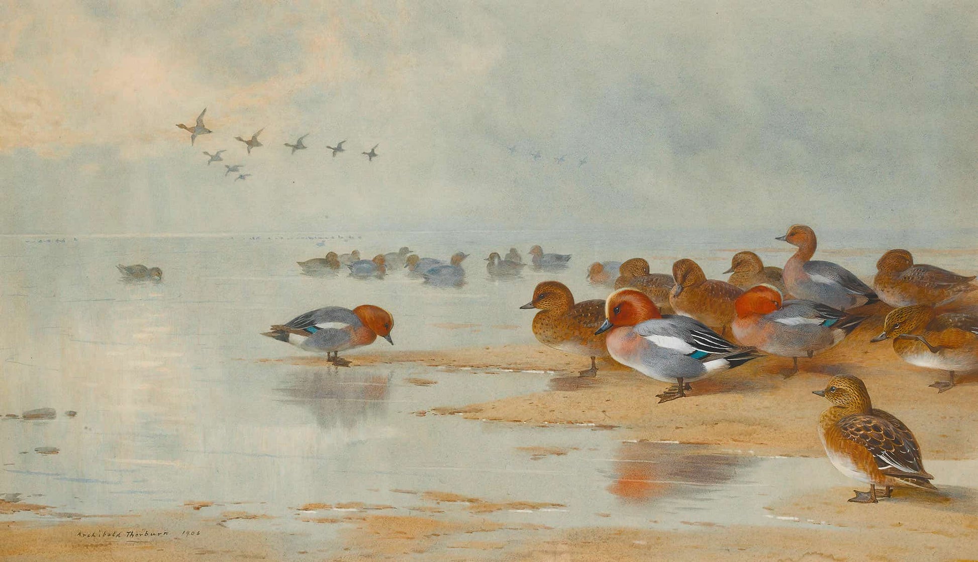 Wigeon And Teal By The Waters Edge by Archibald Thorburn