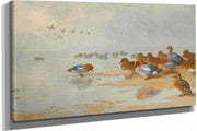 Wigeon And Teal By The Waters Edge by Archibald Thorburn