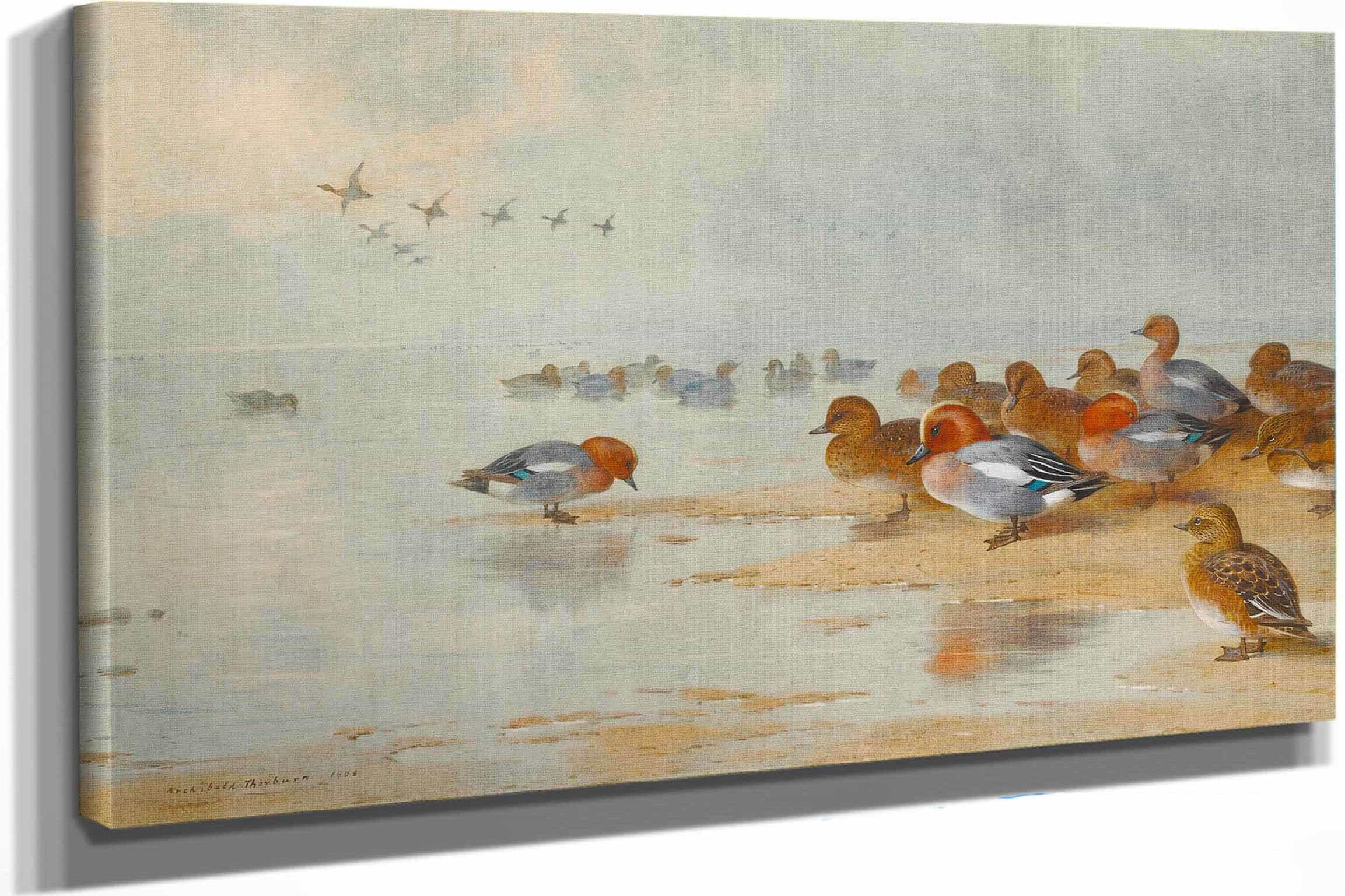 Wigeon And Teal By The Waters Edge by Archibald Thorburn