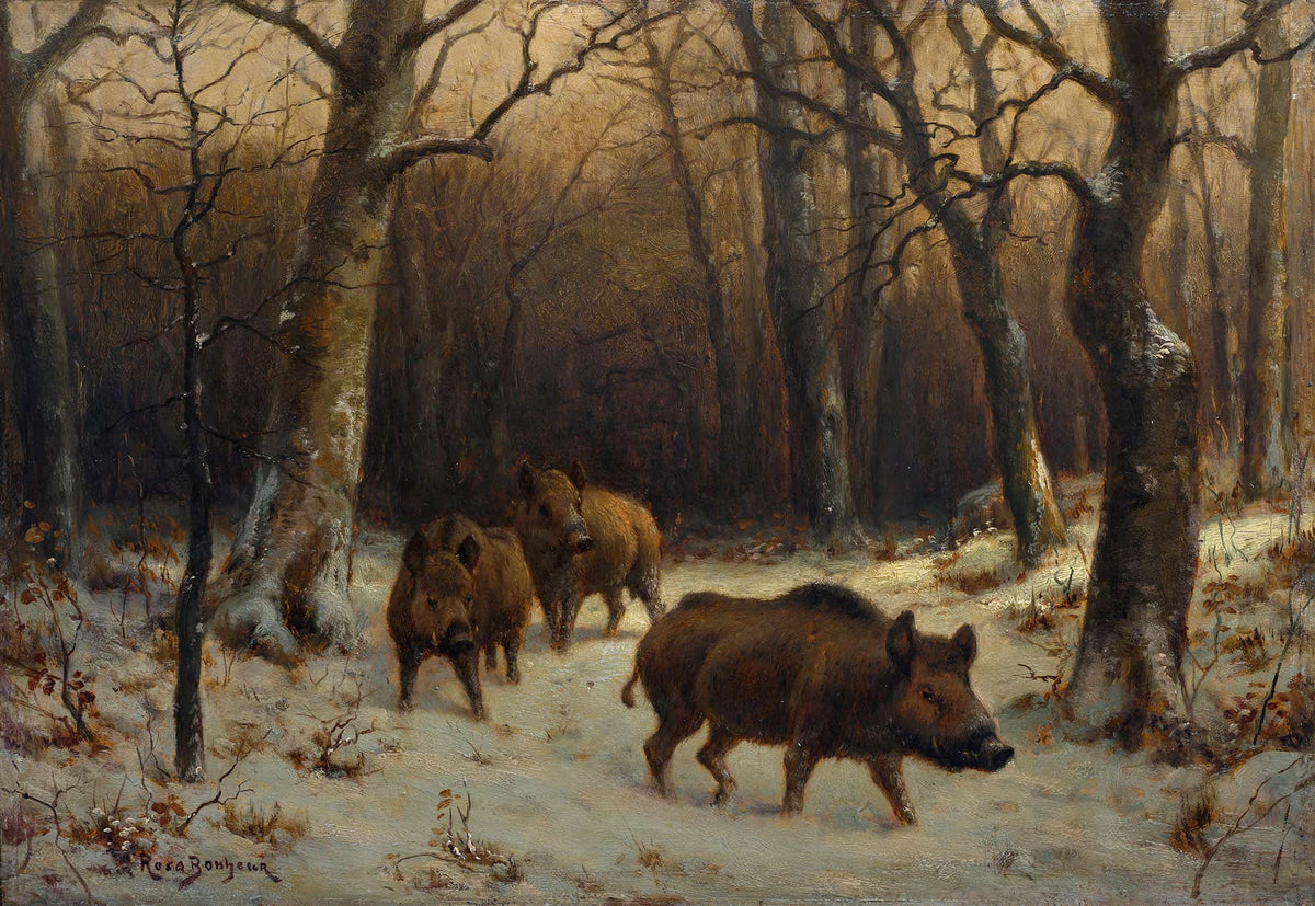 Wild Boars In The Snow by Rosa Bonheur