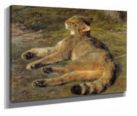 Wild Cat by Rosa Bonheur
