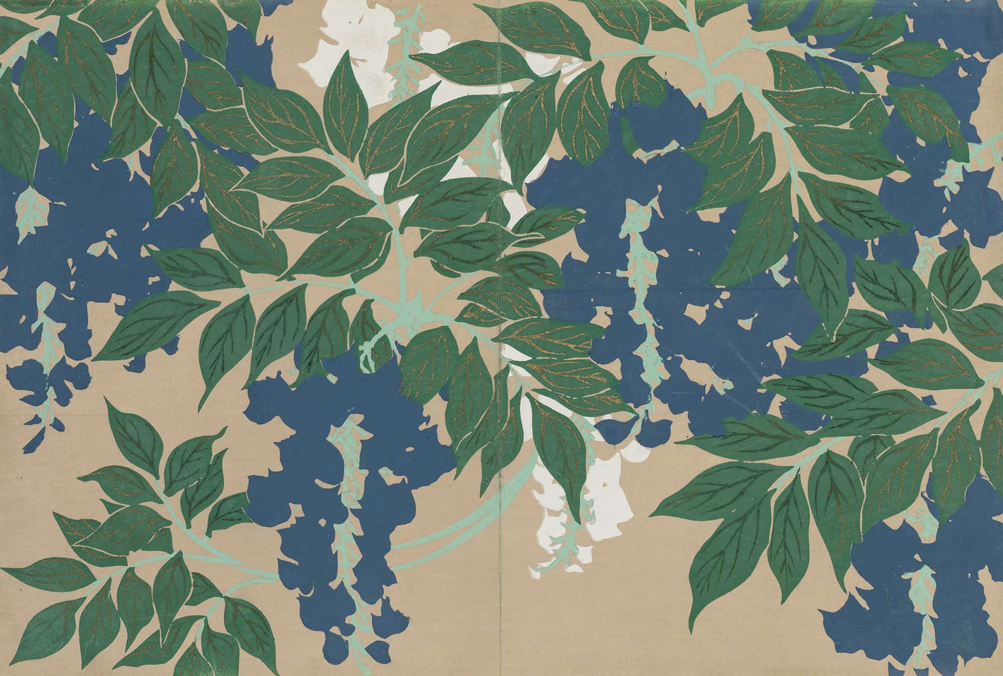 Wisteria Fuji by Kamisaka Sekka