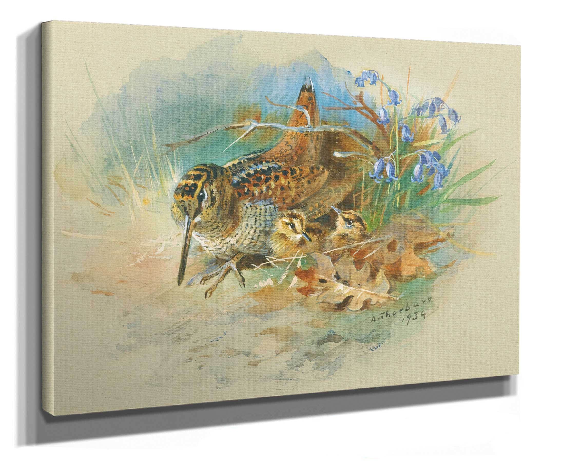 Woodcock And Young by Archibald Thorburn