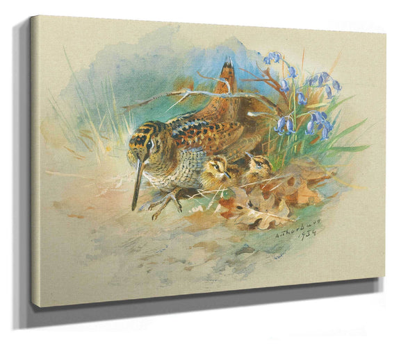 Woodcock And Young by Archibald Thorburn