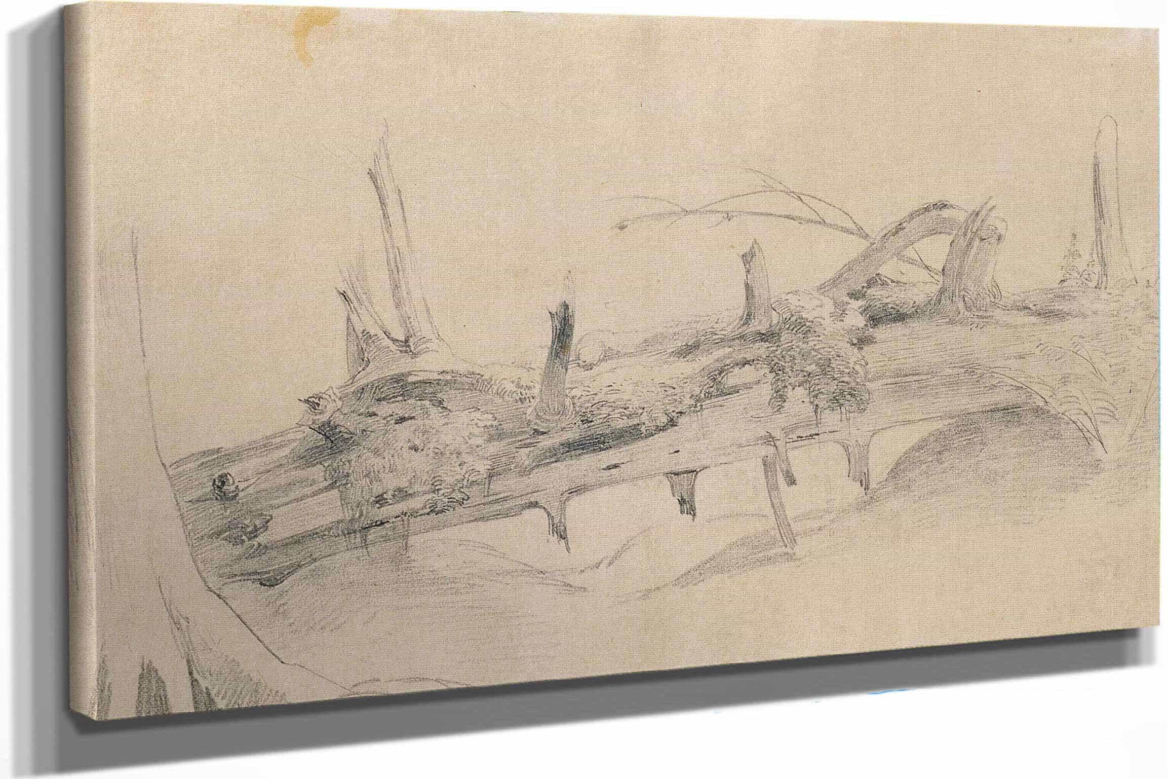 Wurzelwerk Umgesturzter Baum 1 by Johann Peter Krafft