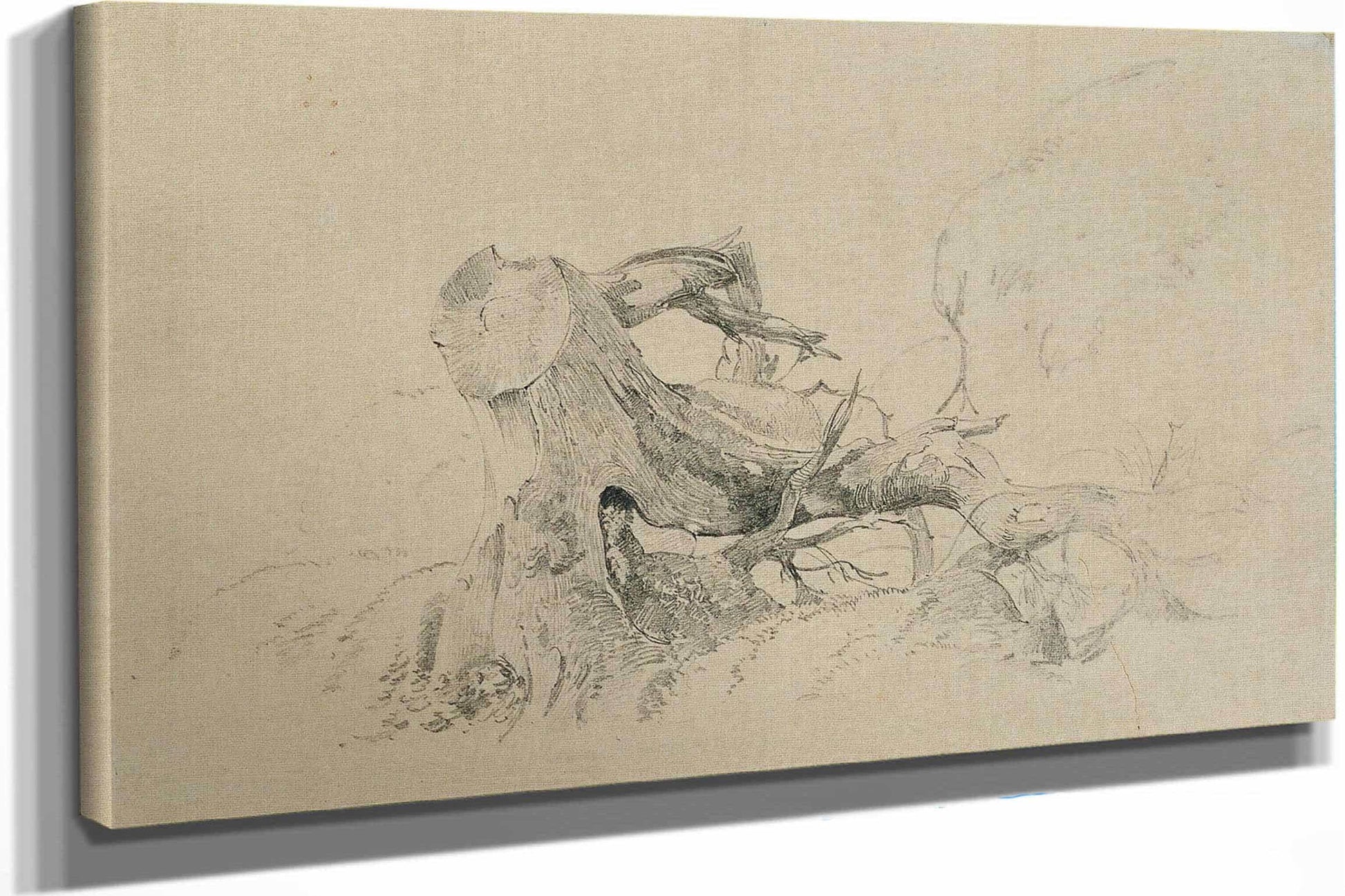 Wurzelwerk Umgesturzter Baum by Johann Peter Krafft