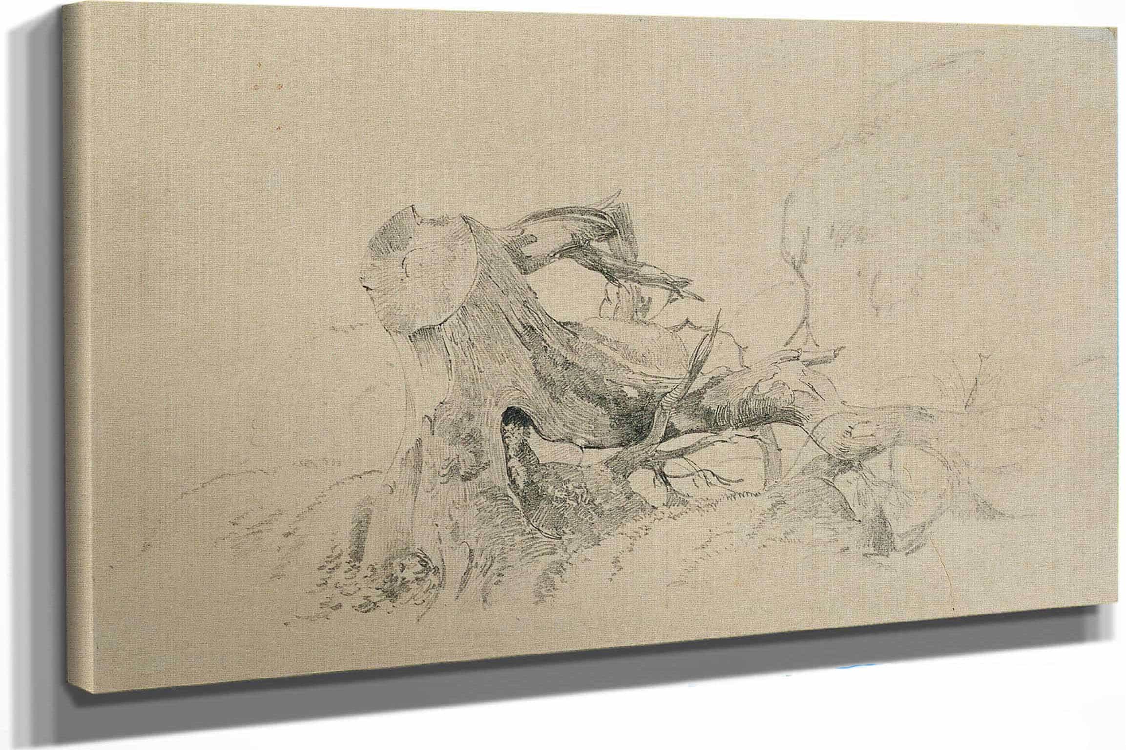 Wurzelwerk Umgesturzter Baum by Johann Peter Krafft