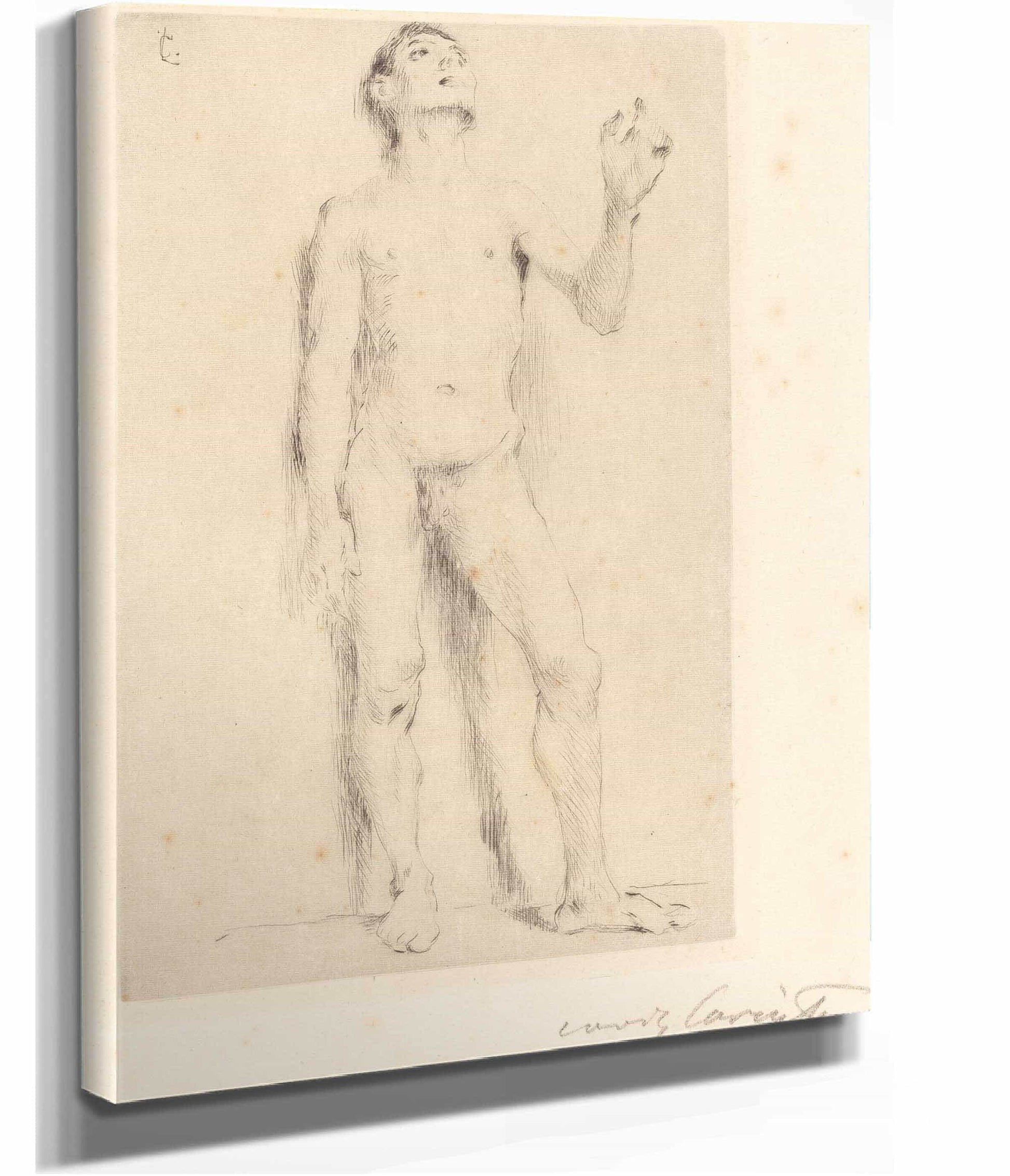 Young Male Nude Junglingsakt by Lovis Corinth