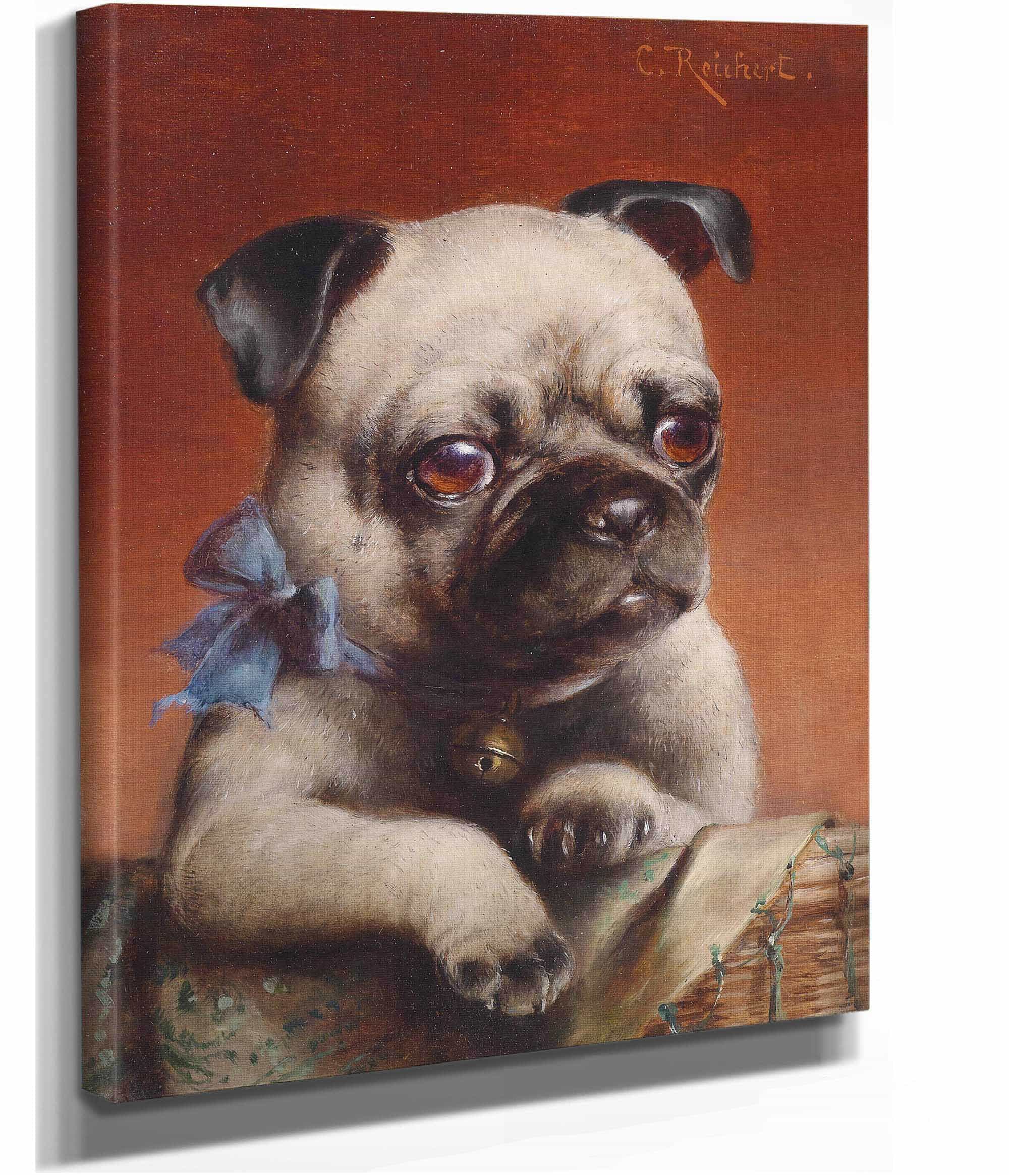 Young Pug by Carl Reichert