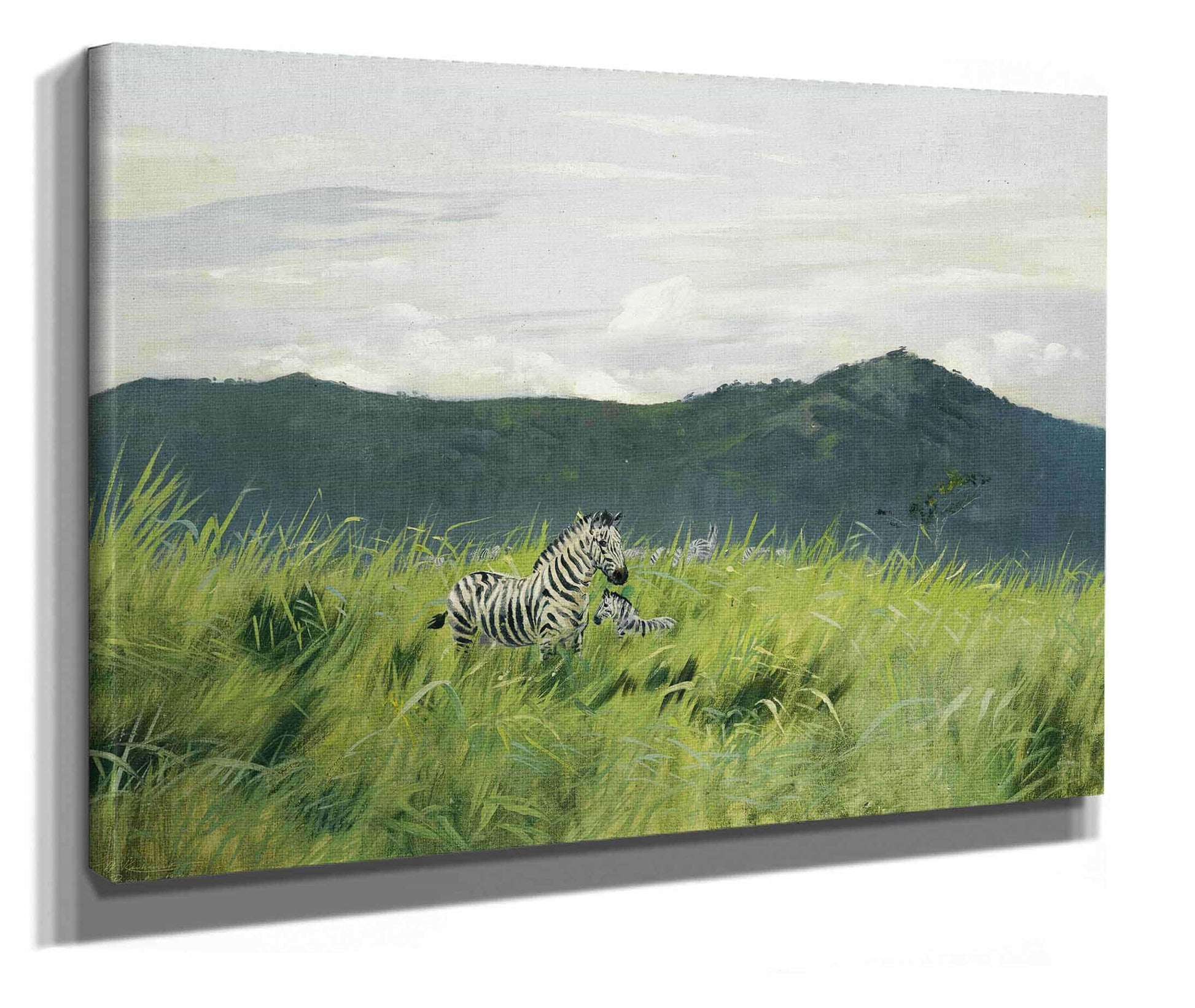 Zebra On The Steppe by Wilhelm Kuhnert