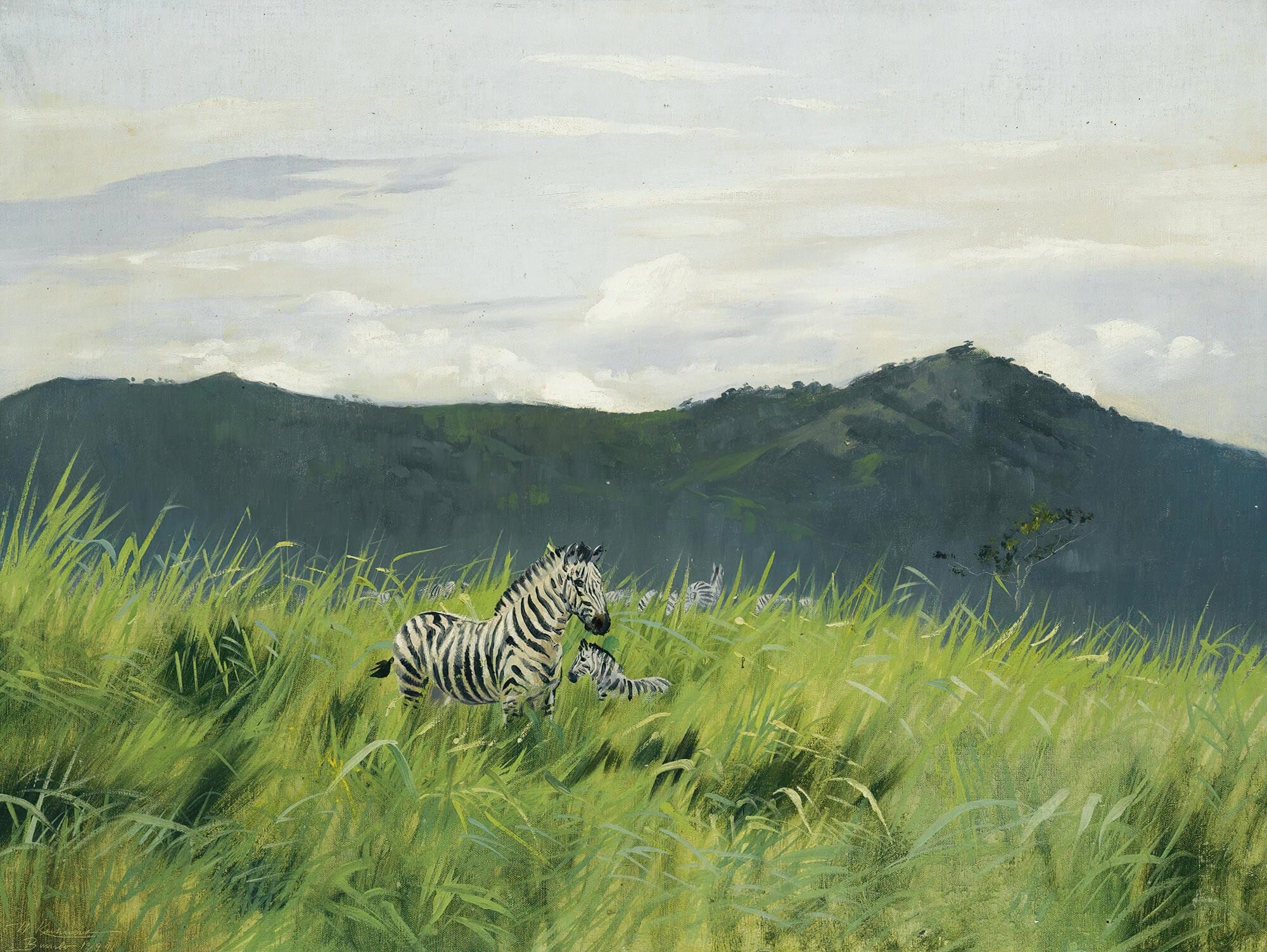 Zebra On The Steppe by Wilhelm Kuhnert