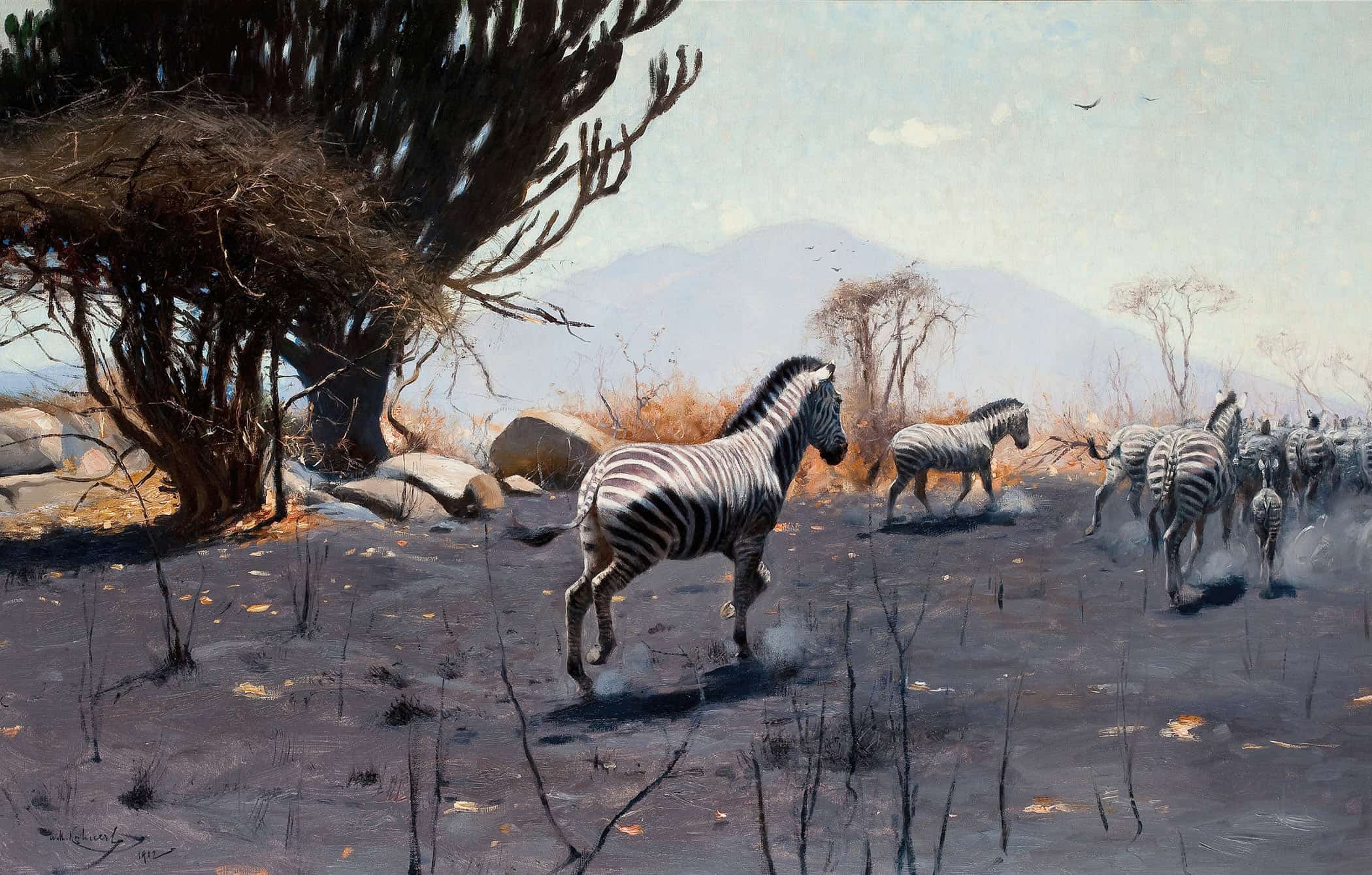 Zebras by Wilhelm Kuhnert