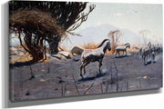 Zebras by Wilhelm Kuhnert