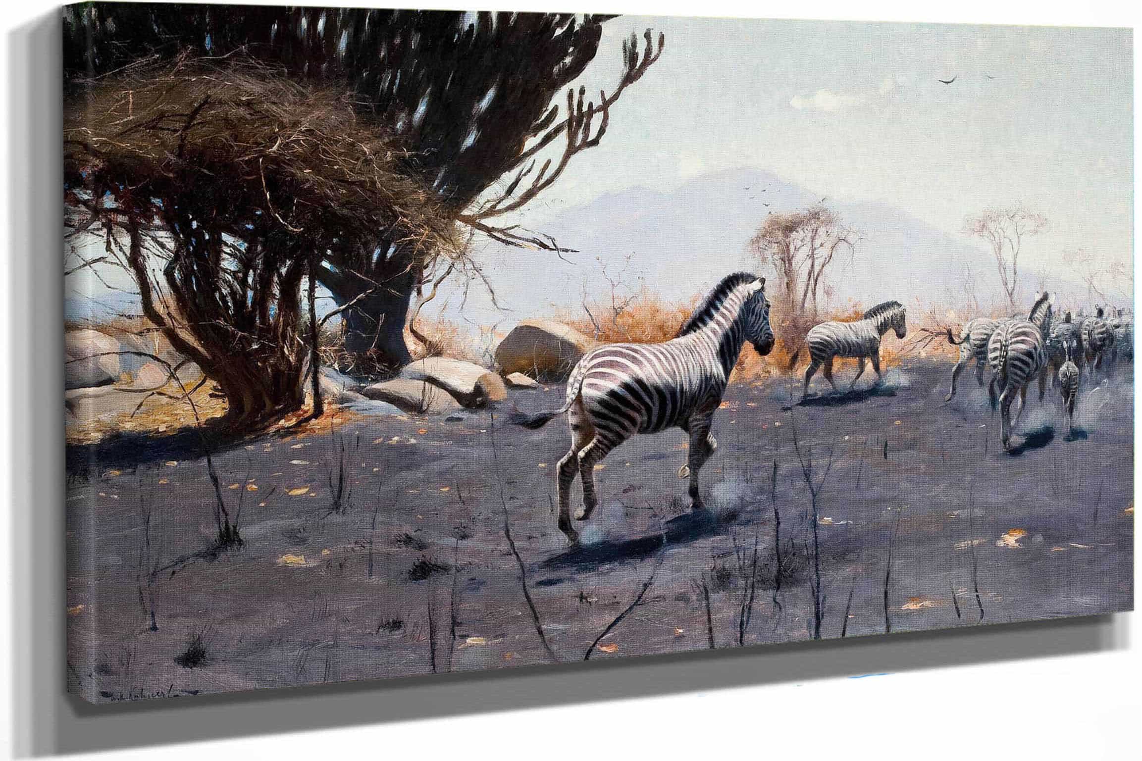 Zebras by Wilhelm Kuhnert