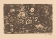 Zeven Schelpen by Reijer Stolk