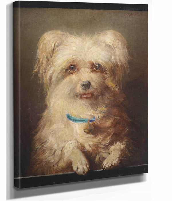 Zwerggriffon by Carl Reichert