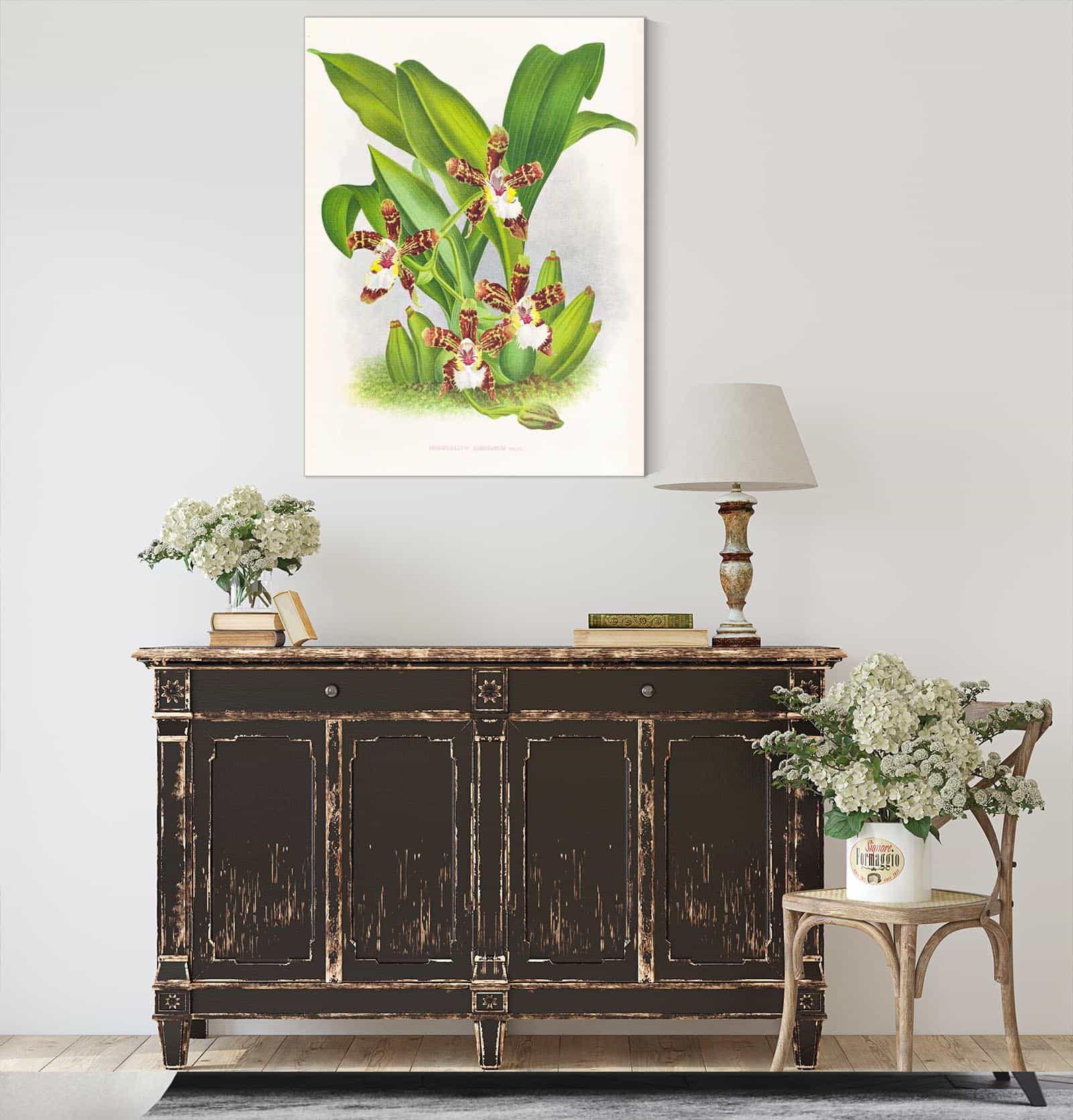 Zygopetalum Jorisianum by Jean Jules Linden